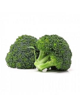 Brócoli Planta 100% Natural