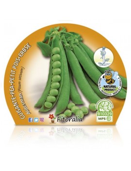 Fresanas Guisante Mata alta plantel ecológico en maceta de 10,5 cm. de diámetro