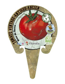 Fresanas Tomate Rosa de Berna colección Vintage plantel ecológico
