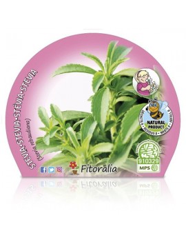 Fresanas Stevia Plantel ecológico en maceta de 10,5 cm. de diámetro