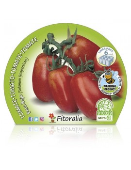 Fresanas Tomate Pera Mata Baja plantón ecológico en maceta pack 6 unidades 54x43mm.
