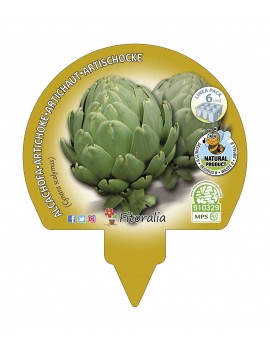 Fresanas Alcachofa plantón ecológico pack 6 unidades 54x43 mm. de diámetro