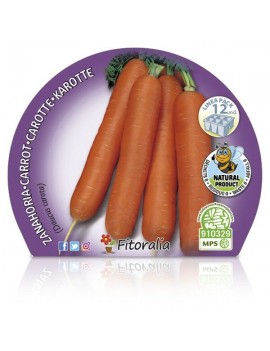 Fresanas Zanahoria plantón ecológico pack 12 unidades 34x32 mm. de diámetro