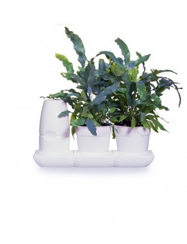 Fresanas Minigarden sistema de cultivo Basic S pots para 2 plantas