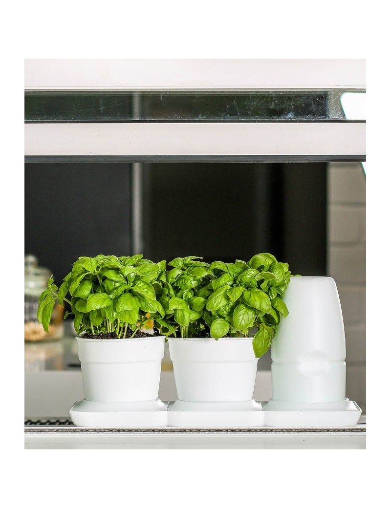 und Düngesystem; ideal zum Aufstellen auf Fensterbänken und Tischen Minigarden Basic S UNO Weiß innovatives Starterset für einfachste Pflanzenpflege; ausgestattet mit automatischem Bewässerungs