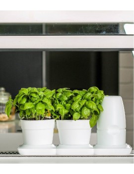 Fresanas Minigarden sistema de cultivo Basic S pots para 2 plantas
