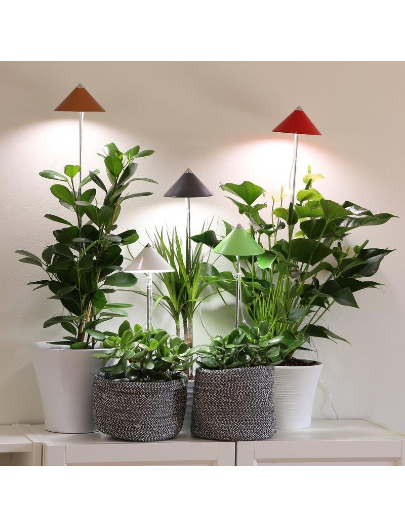 Fresanas Lámpara LED para plantas sunlite