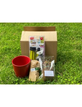 Fresanas kit de iniciación al huerto ecológico