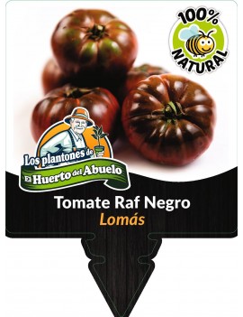 fresanas tomate raf negro