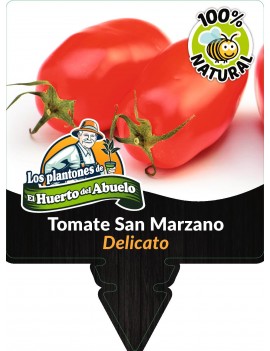 fresanas planta de tomate san marzano