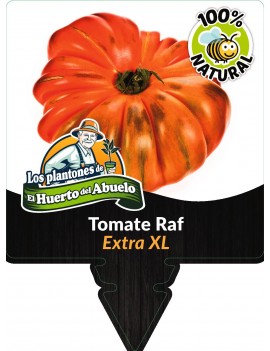 Tomate Raf Planta 100% Natural