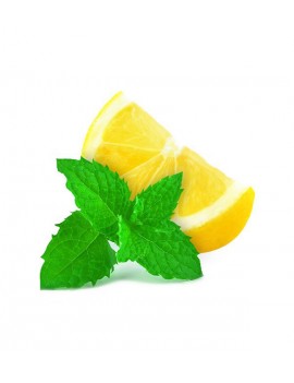 Fresanas planta de menta limón aromática natural envío a domicilio