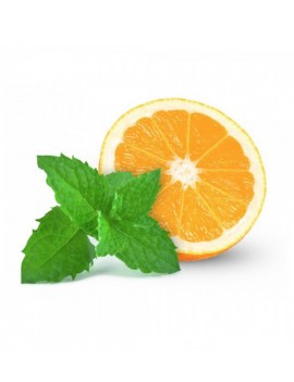 Fresanas menta naranja planta aromática natural envío a domicilio