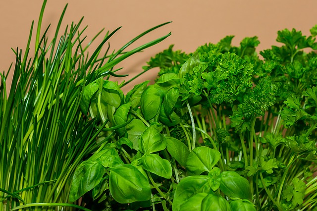 Plantas aromáticas: cultívalas en tu cocina